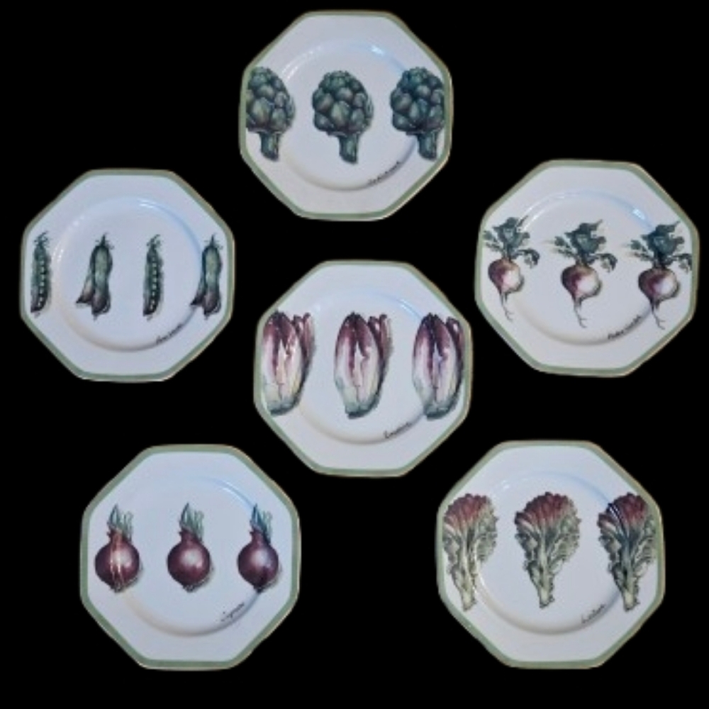 *NWOT William Sonoma Vegetable Garden Salad Plates Set Of 6